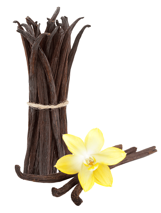 Vanilla Flavor Extract Source